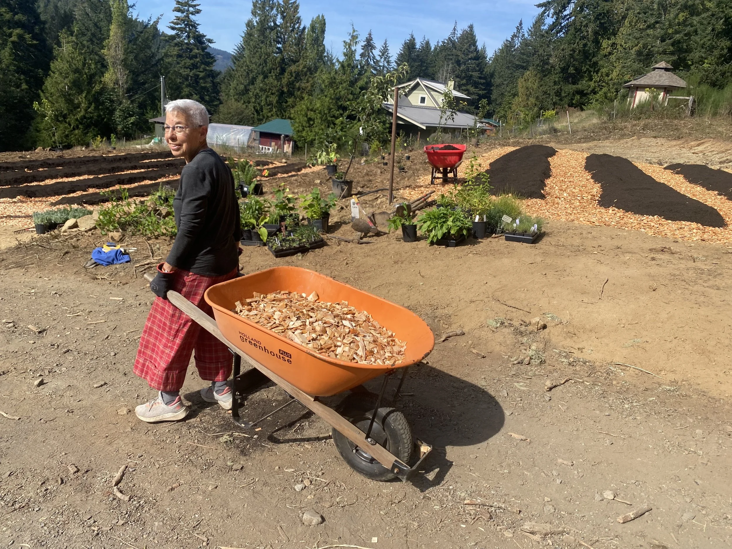 Permaculture & Sustainable Food Production