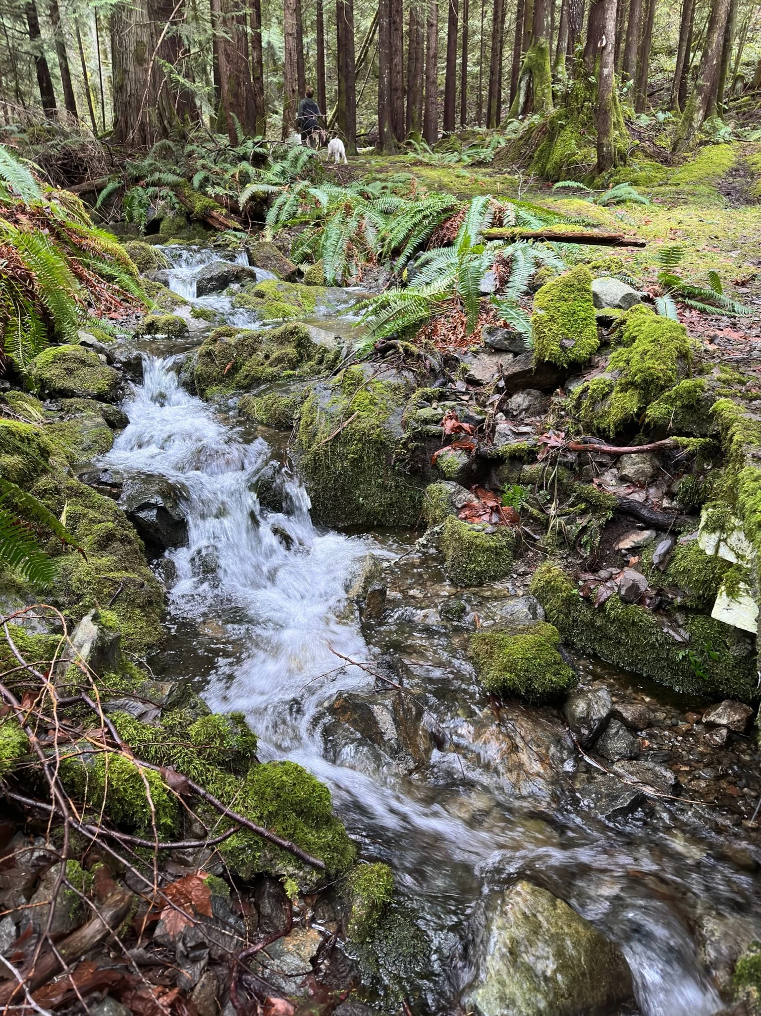 Wildlife Conservation