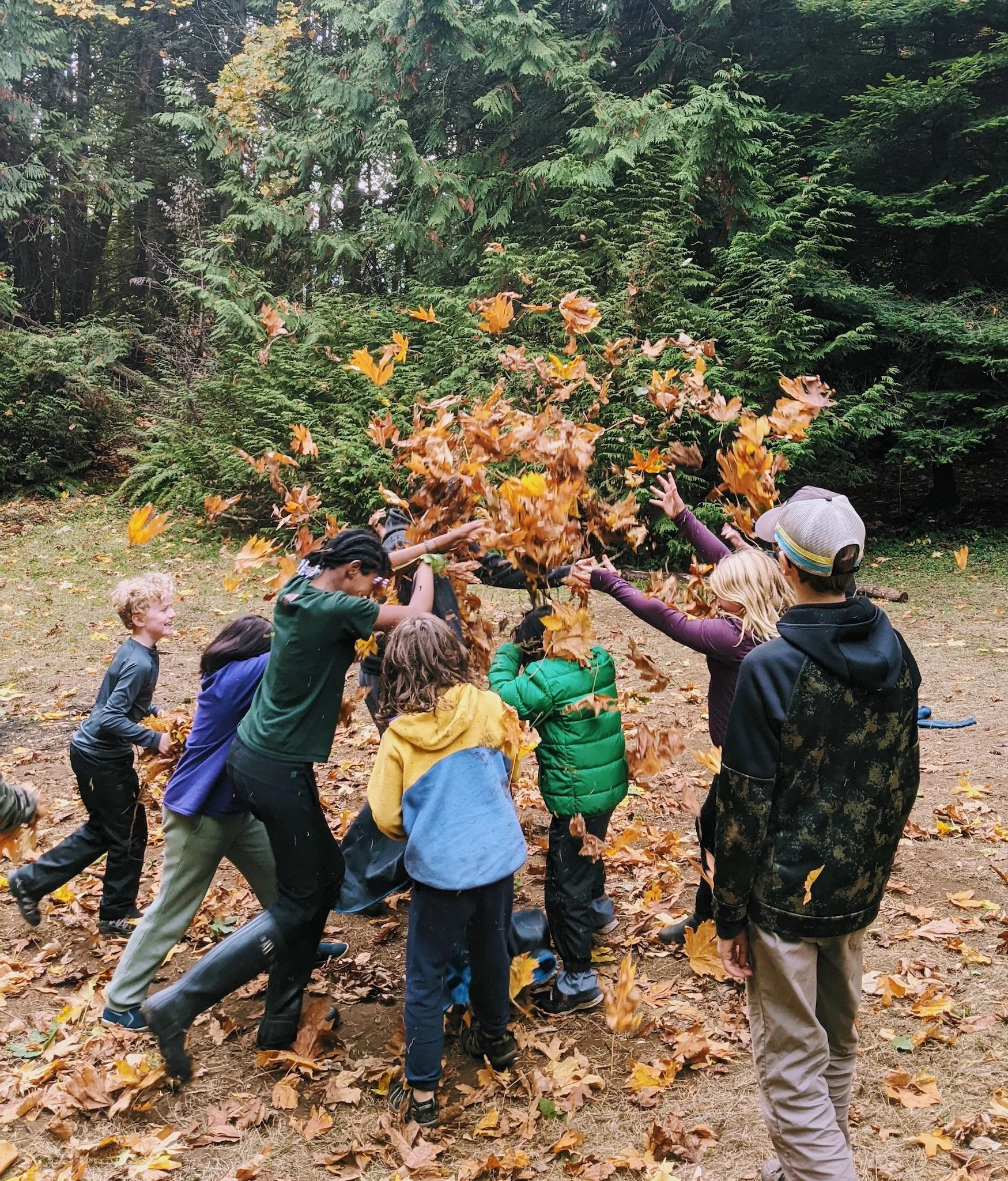 PXL_20211005_215757268 (2) (1).JPEG