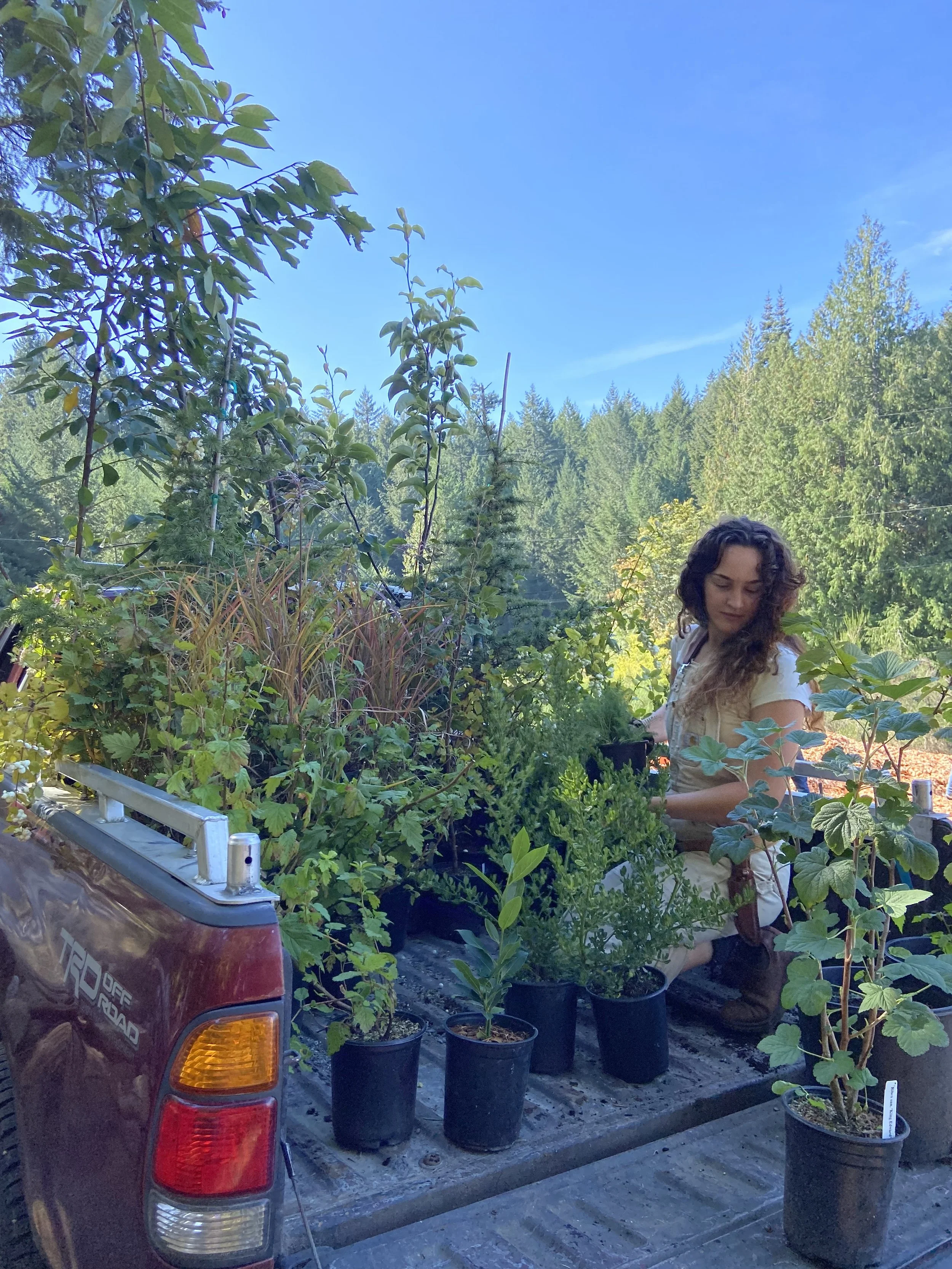 Copy of IMG_7412.jpg