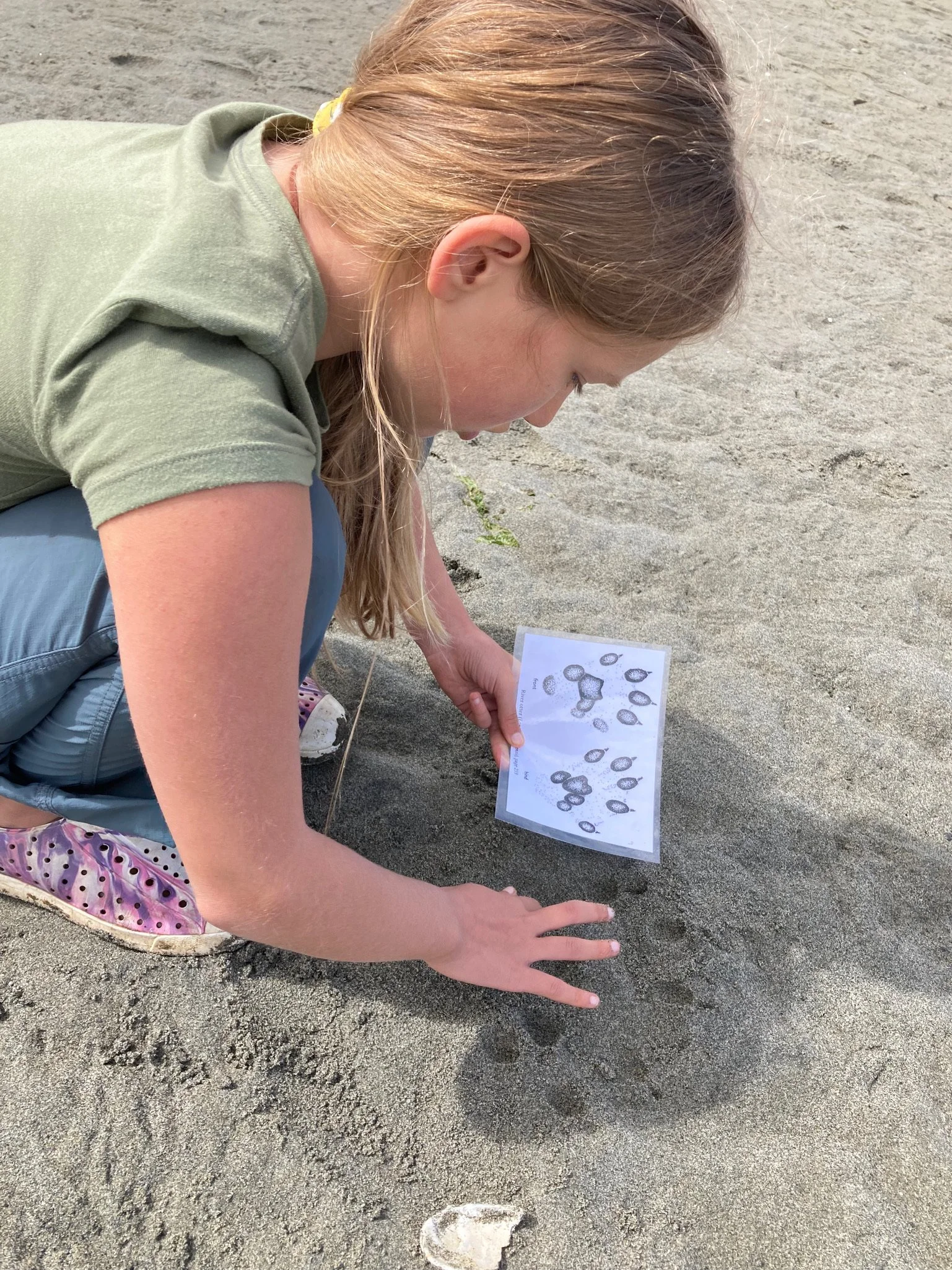 IMG_1856 (1) (1).JPG