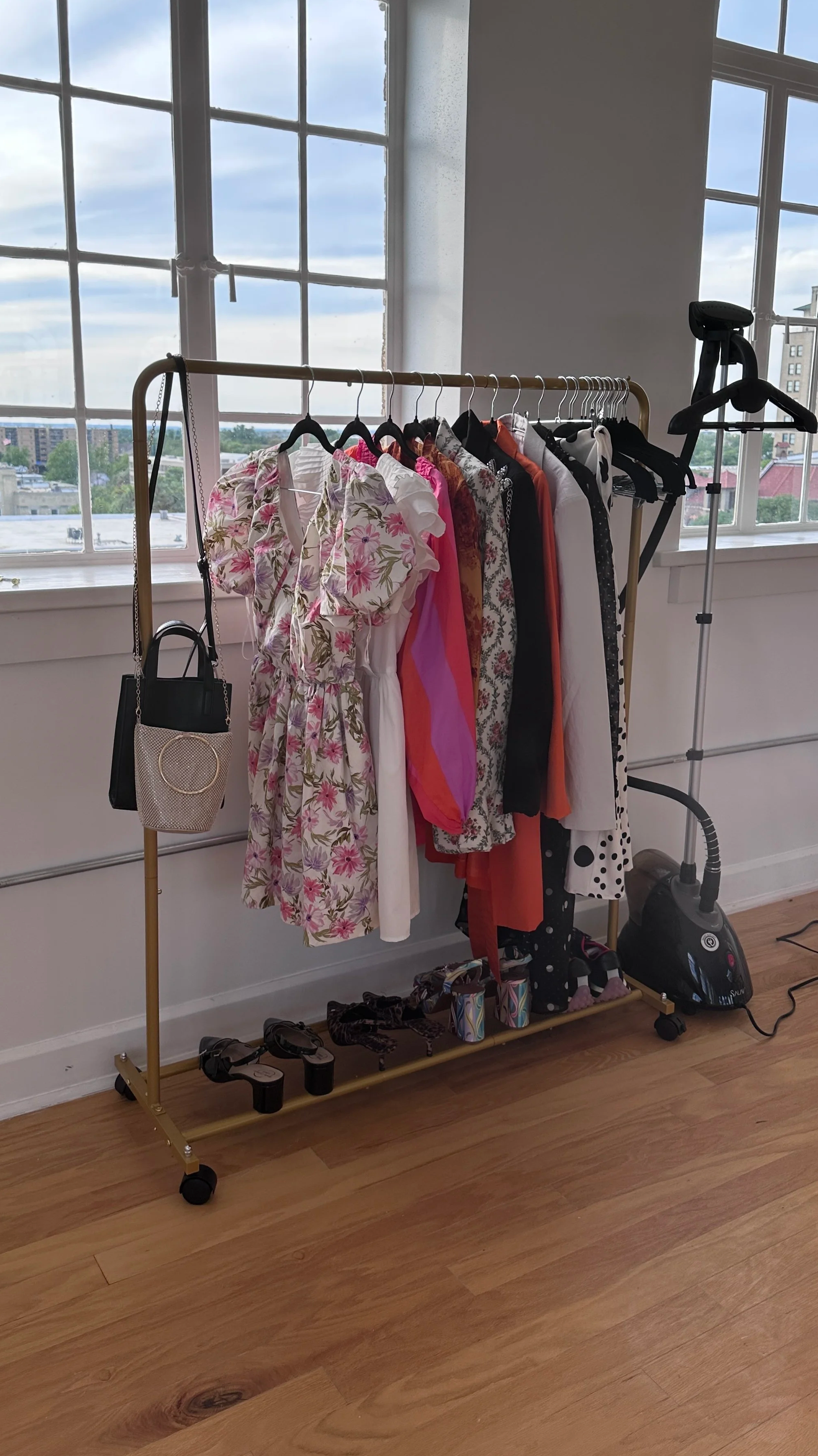 Clothing rack and steamer