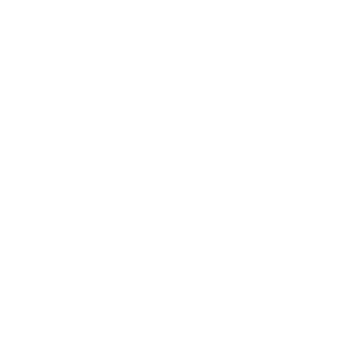 Silvan &amp; Co.