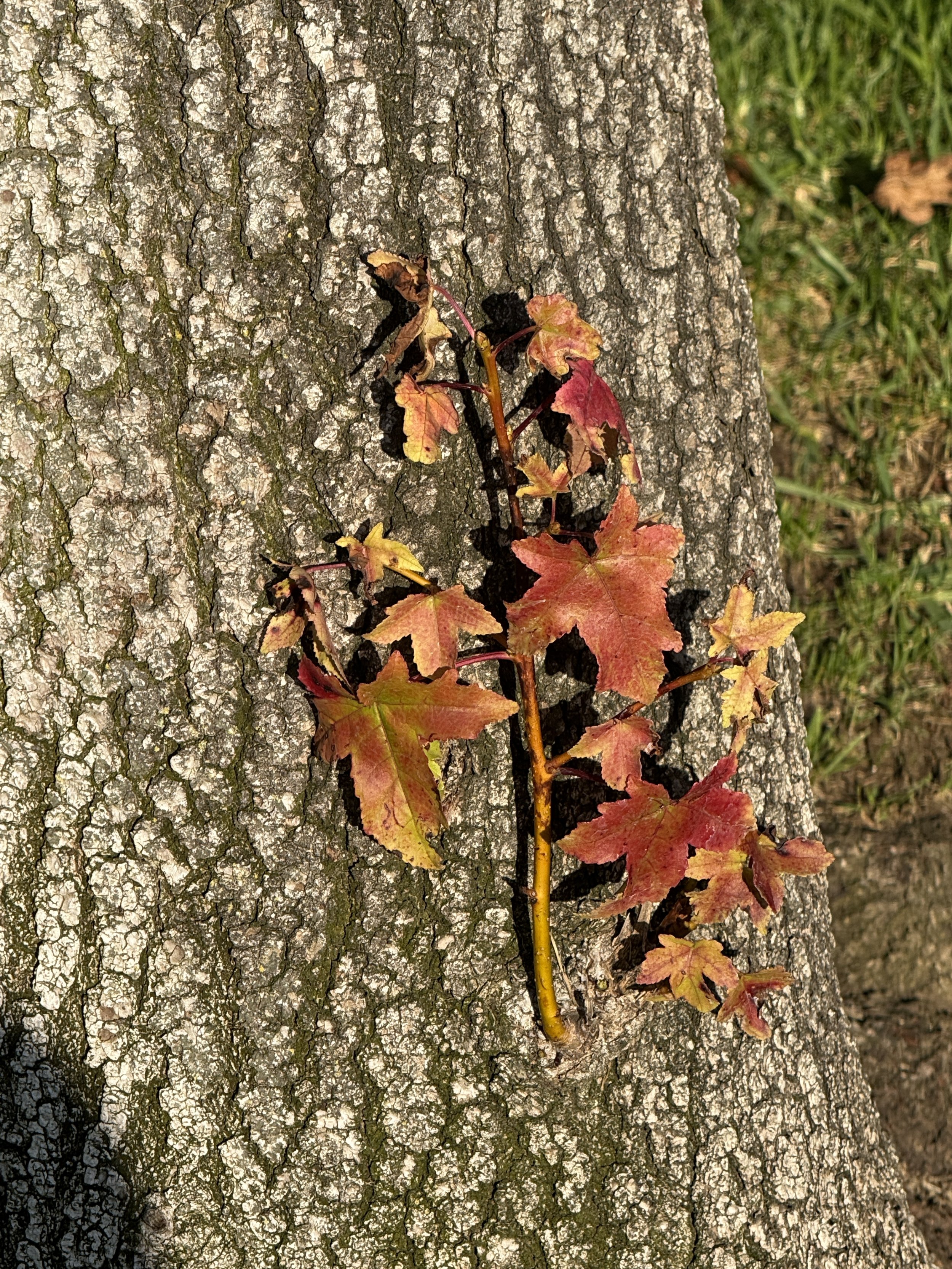 Self Care vs. Selfishness