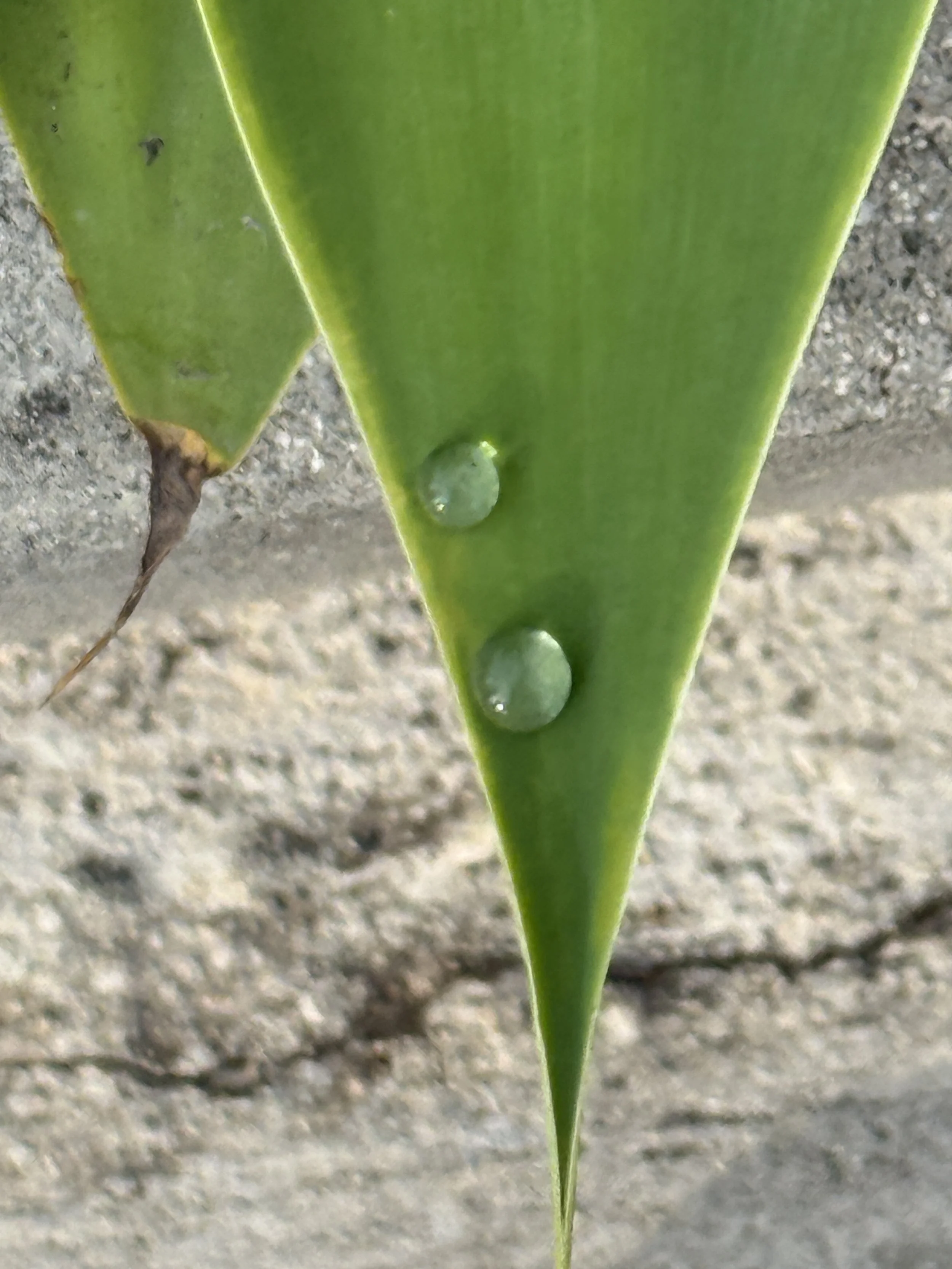 What does it mean to Rest?