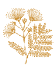 Stylized illustration of a fern with detailed leaves in gold color.