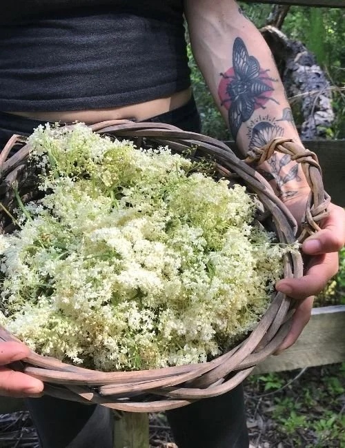 A woven basket filled with bunches of small white flowers.