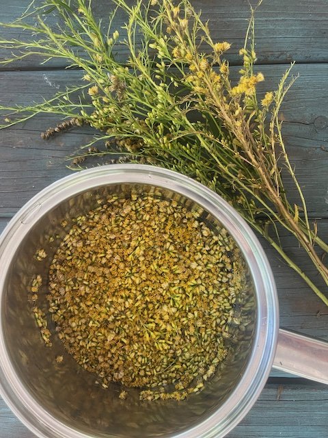 goldenrod.jpg