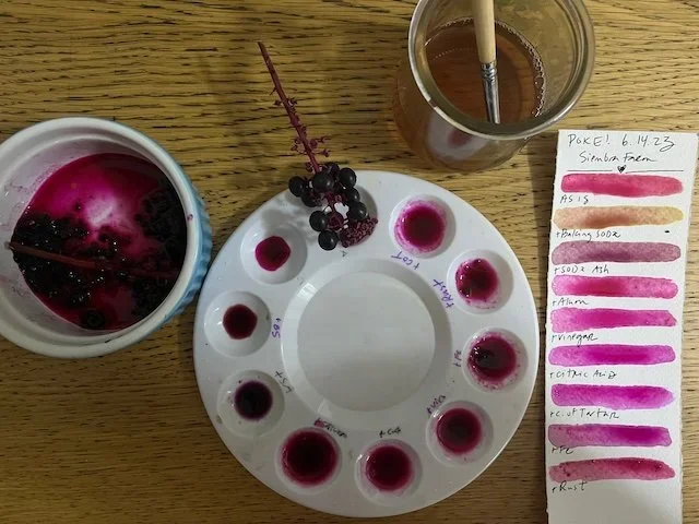 poke color swatch.webp