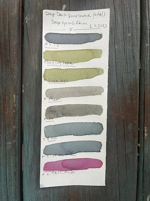 sunflower swatch.webp