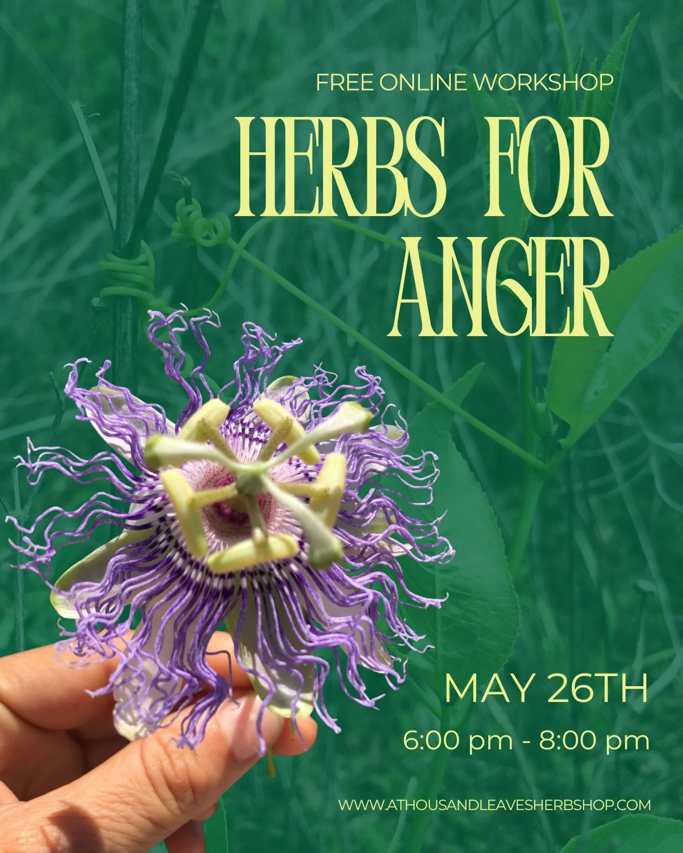 Our next free online workshop will be on anger, how it shows up in the body, herbs that can be supportive and other tools that can see us through these times we are living in, where there is a lot to feel angry about. 

How do we acknowledge our ange