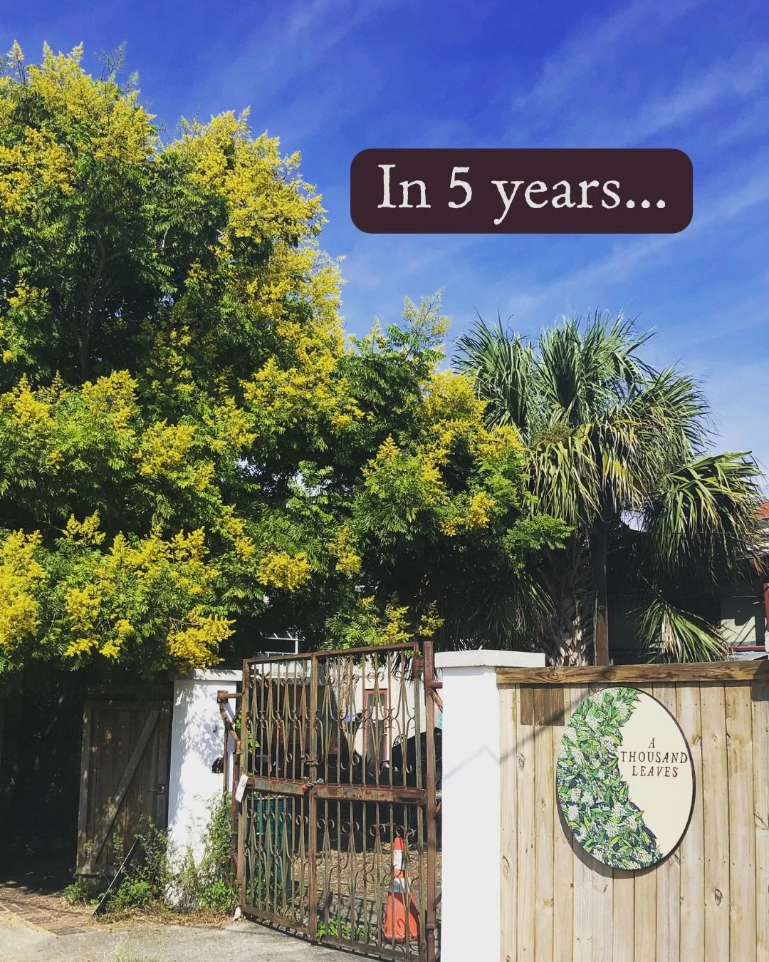 Five years. A lot of herbs and a lot of love 💚🍃