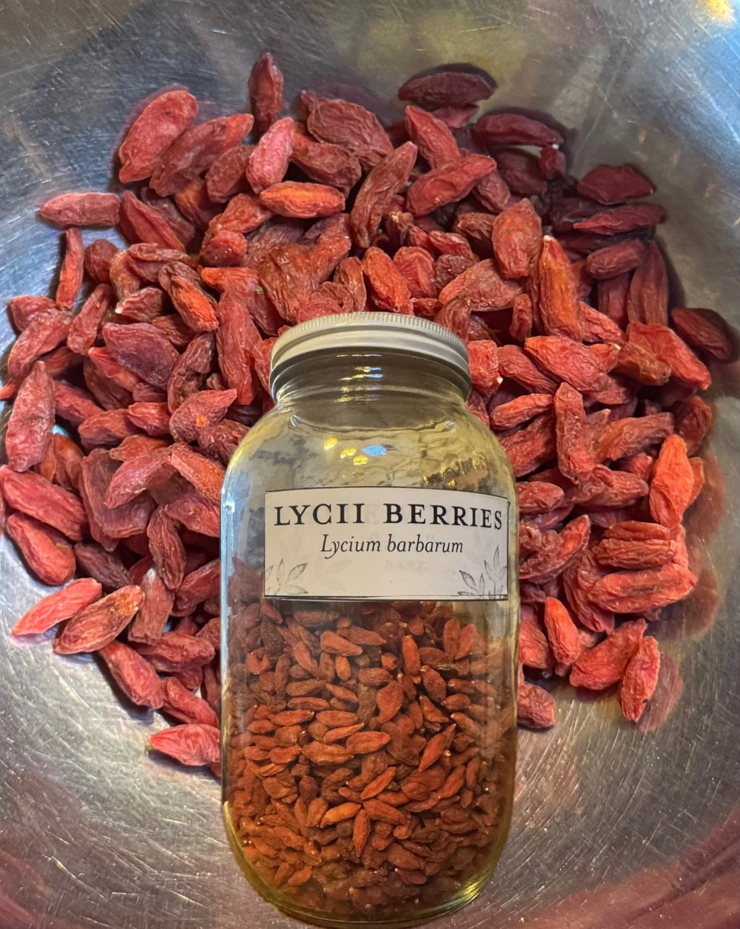 New Berry on the shelf - Lycii berries!
🍃
You might know them as Goji berries, and most certainly have had some in your trail mix at some point. But this berry is used in Traditional Chinese medicine as a Yin tonic, to nourish and tonify the liver a