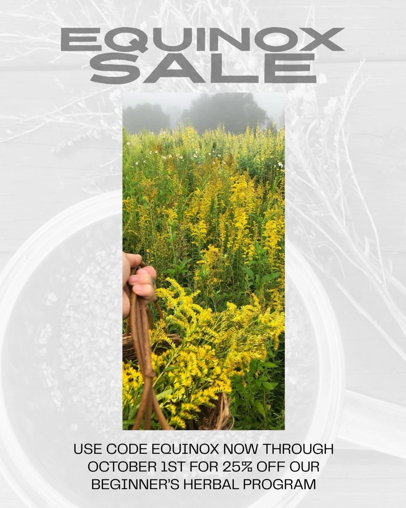 We are having a little Equinox sale on our Beginner&rsquo;s Herbal Program starting now - October 1st.

Get 25% OFF our Beginner&rsquo;s Herbal Program with code EQUINOX 🌗

[Today through the end of the month]

Ready to go deeper learning about herb
