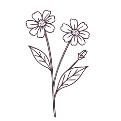 Simple line drawing of a flowering plant with two flowers, multiple leaves, and a bud.