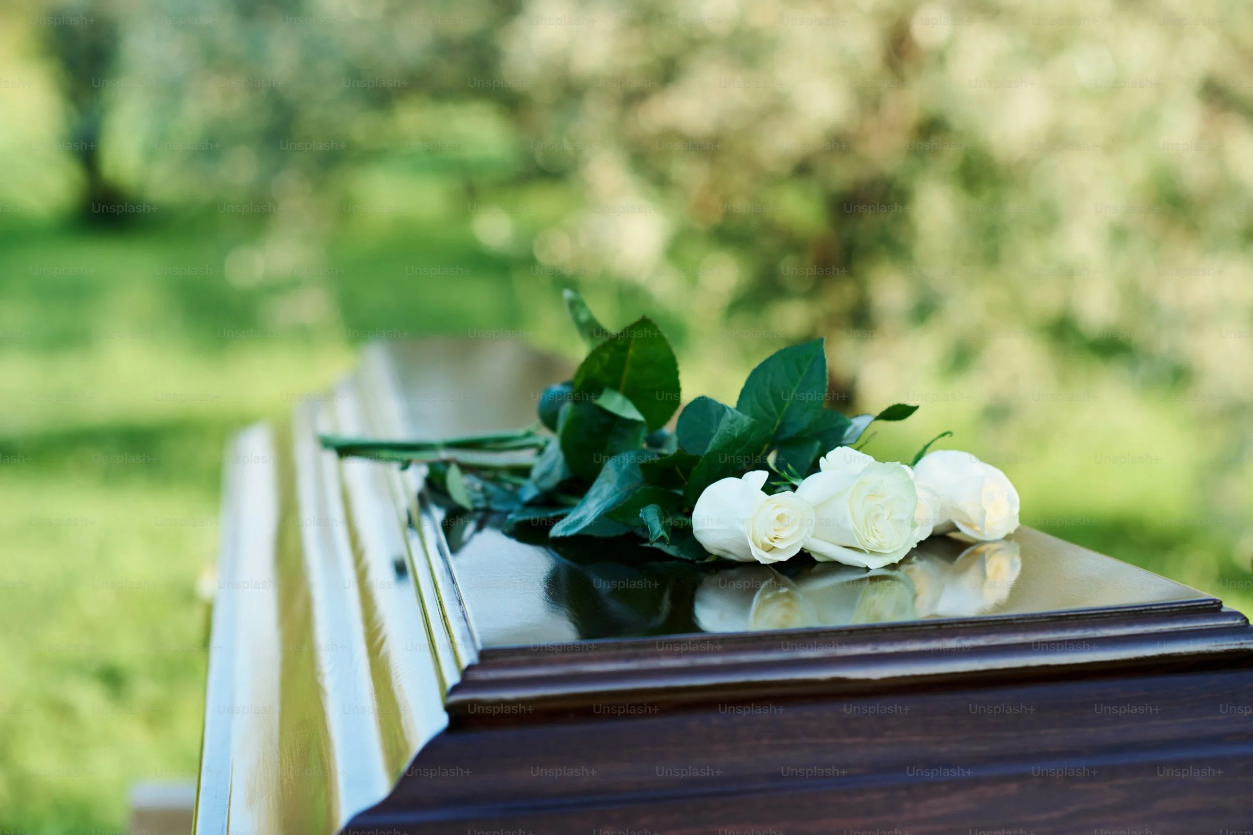 White roses and green leaves resting on a wooden bench outdoors with blurred green background.