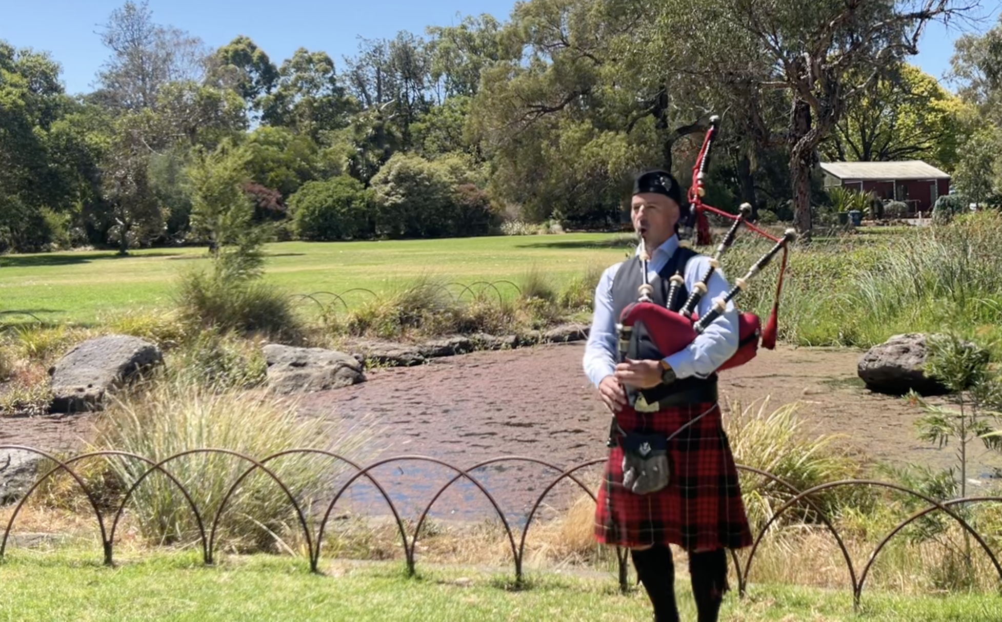 A man dressed in traditional Scottish attire playing bagpipes outdoors in a park-like setting with grass, trees, and a pond.