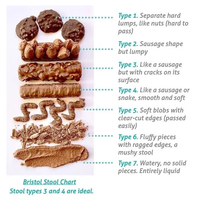 Chronic constipation in hypermobility: a dietitan's guide — Savvy Dietetics