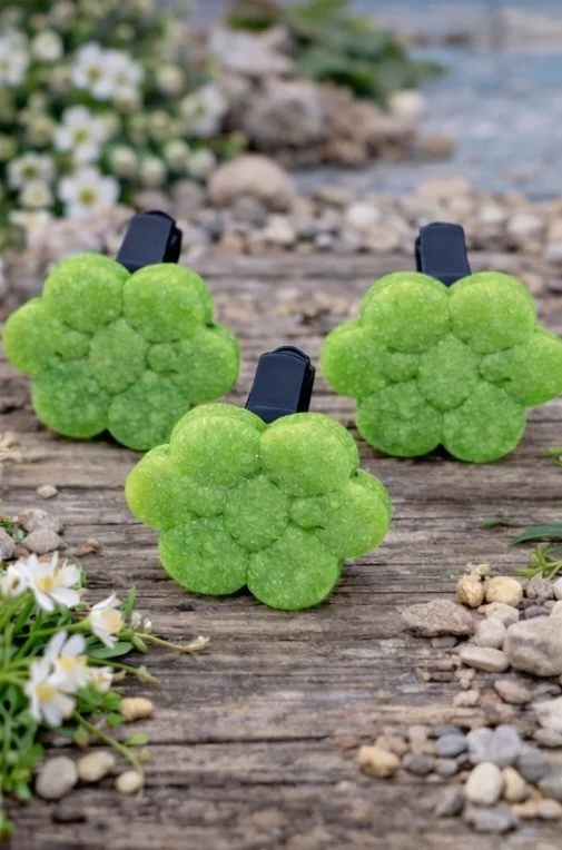 Spring Garden Car Air Freshener