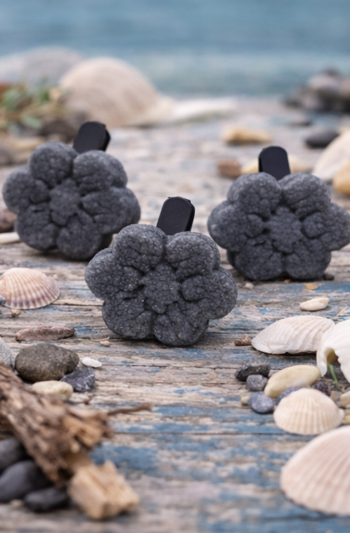 Blackwater Coast Car Air Freshener