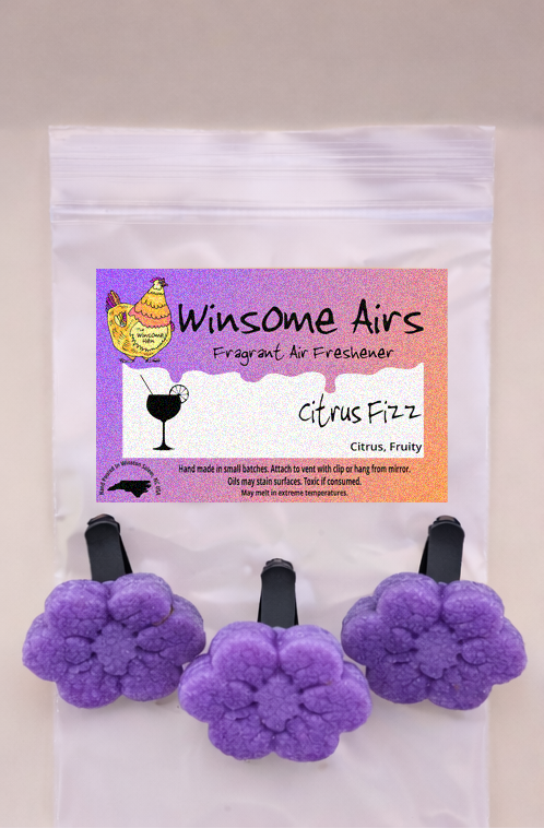 Citrus Fizz Above.png