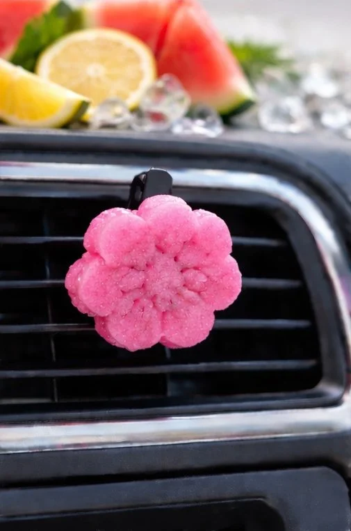 Pink Watermelon Lemonade Vent.jpg