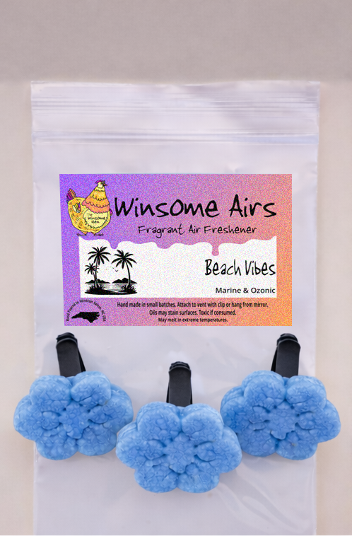 Beach Vibes Above.png