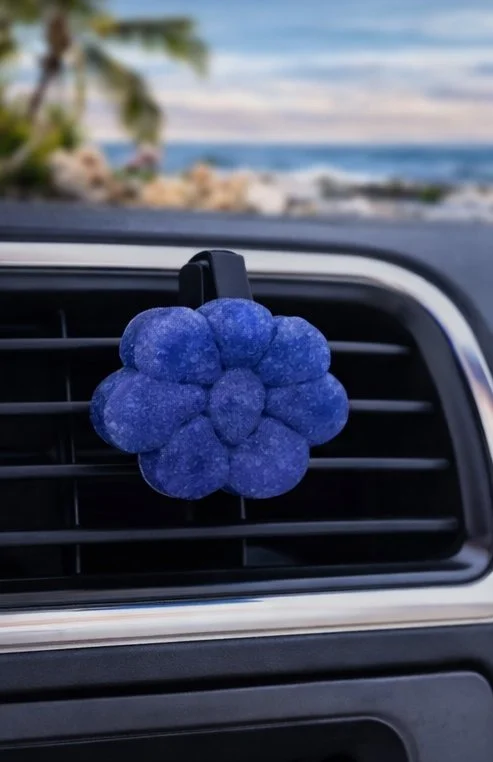 Seaside Orchid Vent.jpg