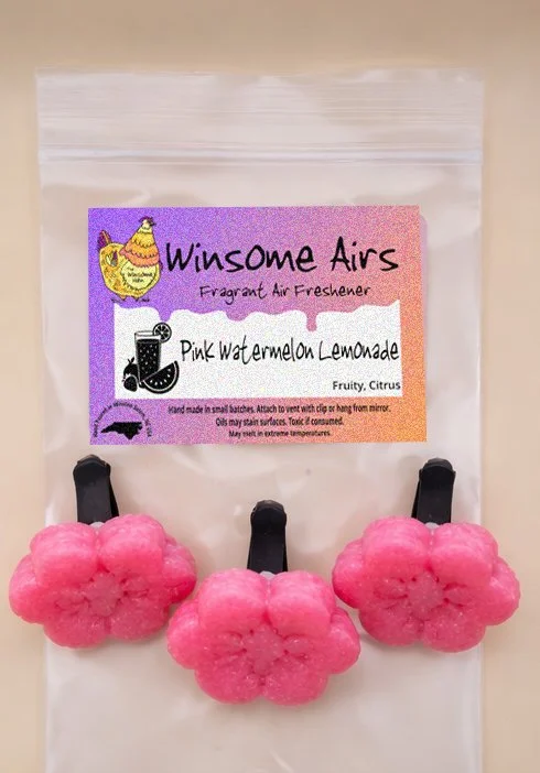 Pink Watermelon Lemonade Above.jpg