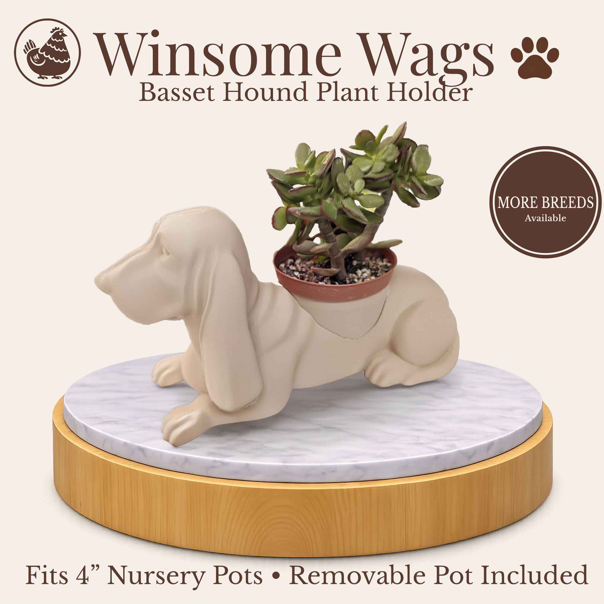 Presentation New Layout.png