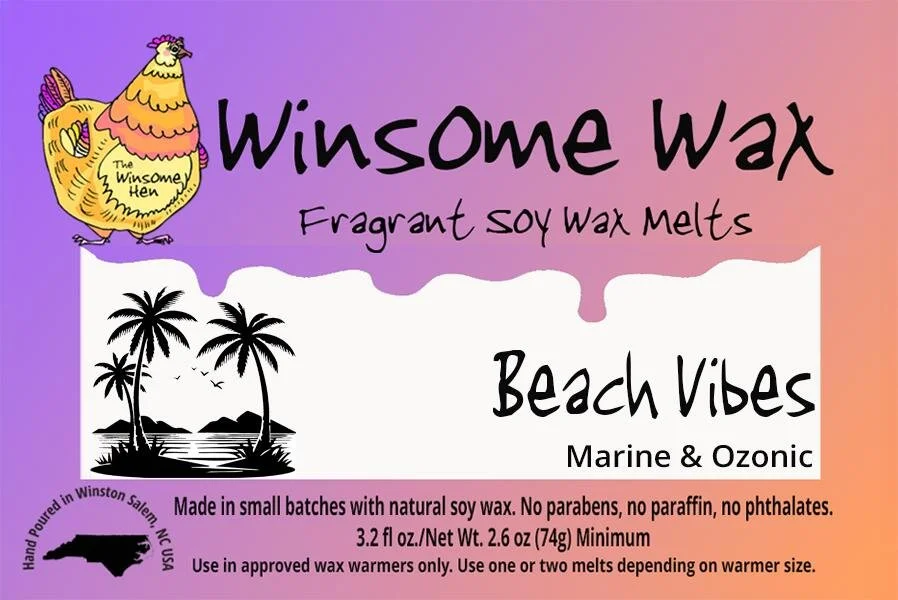 Beach Vibes_1765686902991.jpeg