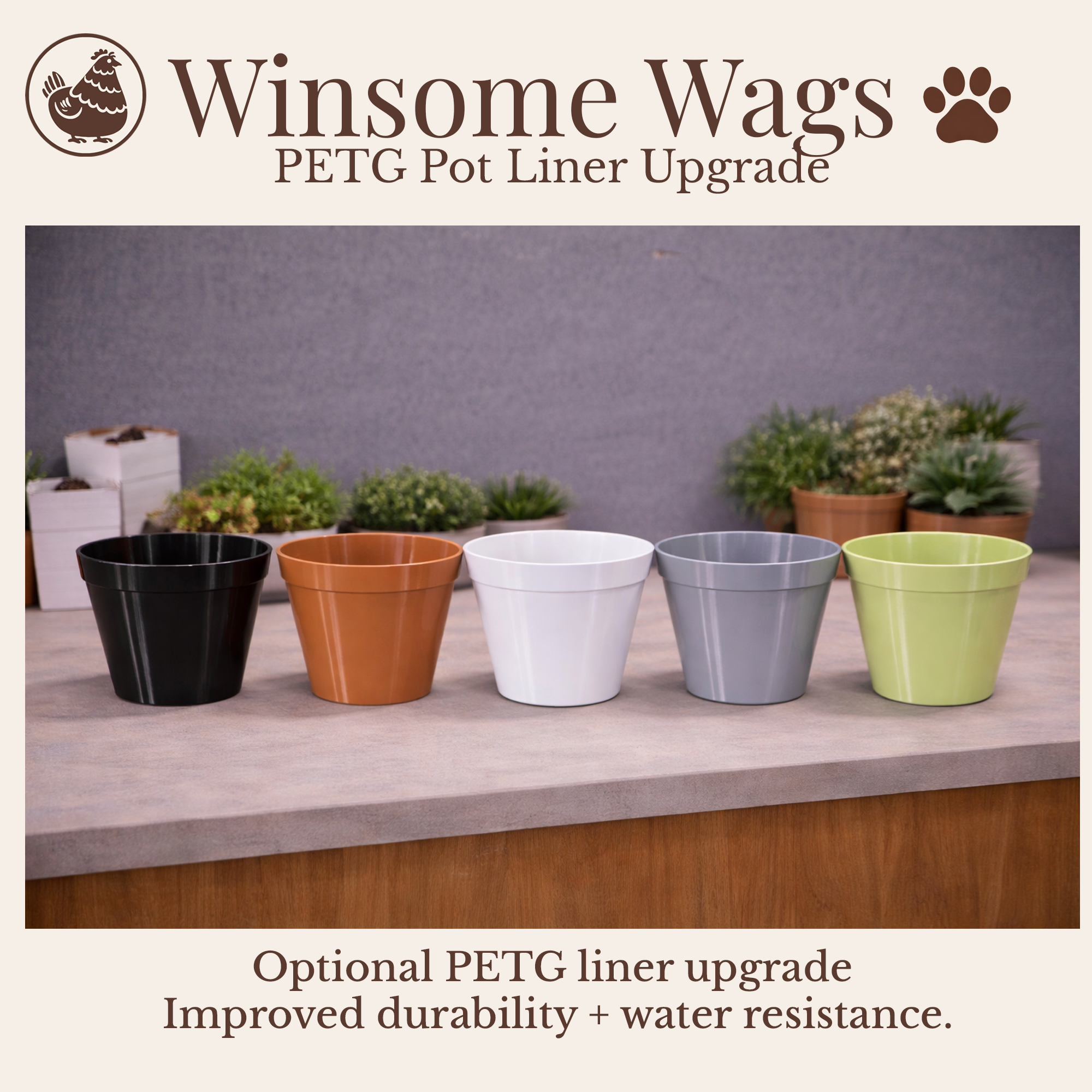 PETG Upgrade.png (Copy) (Copy) (Copy)