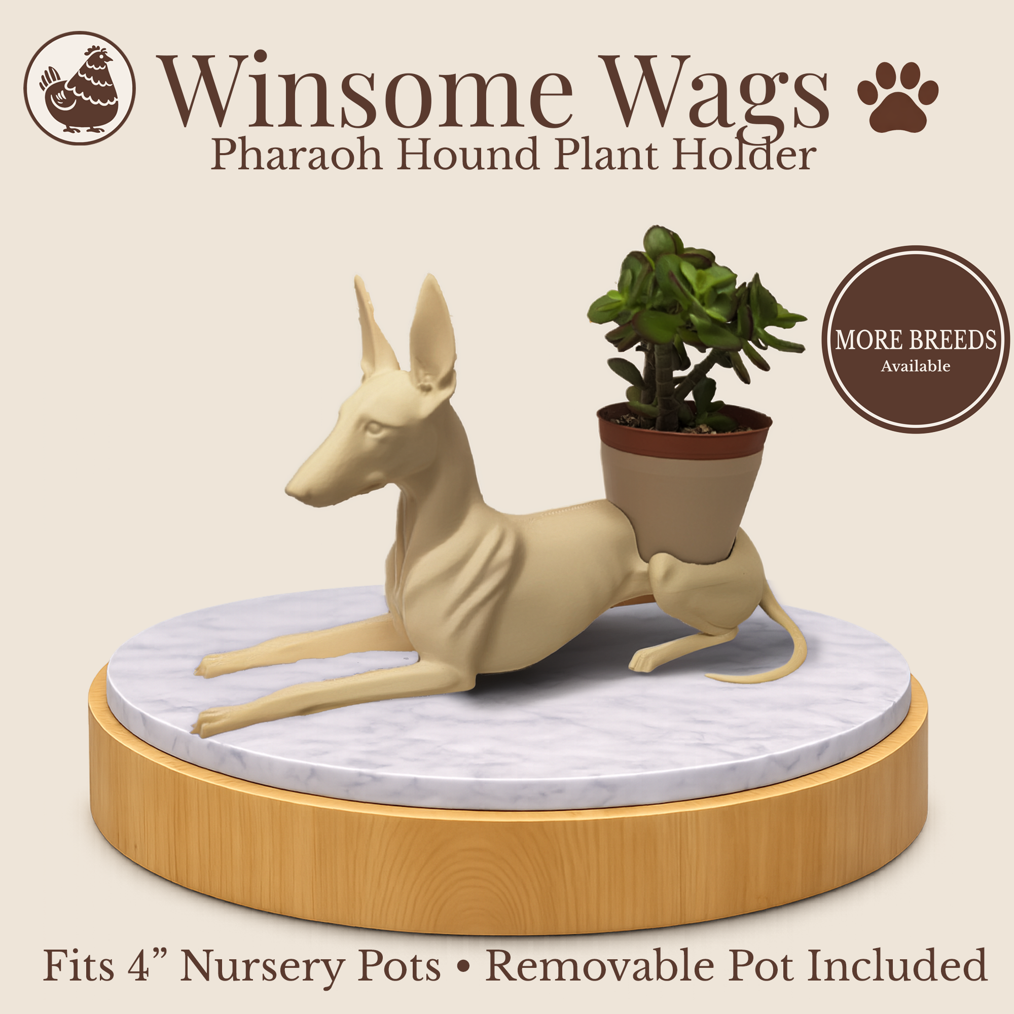 Presentation New Layout.png