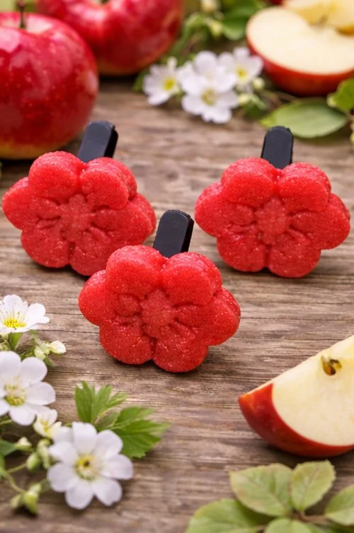 Classic Apple Car Air Freshener