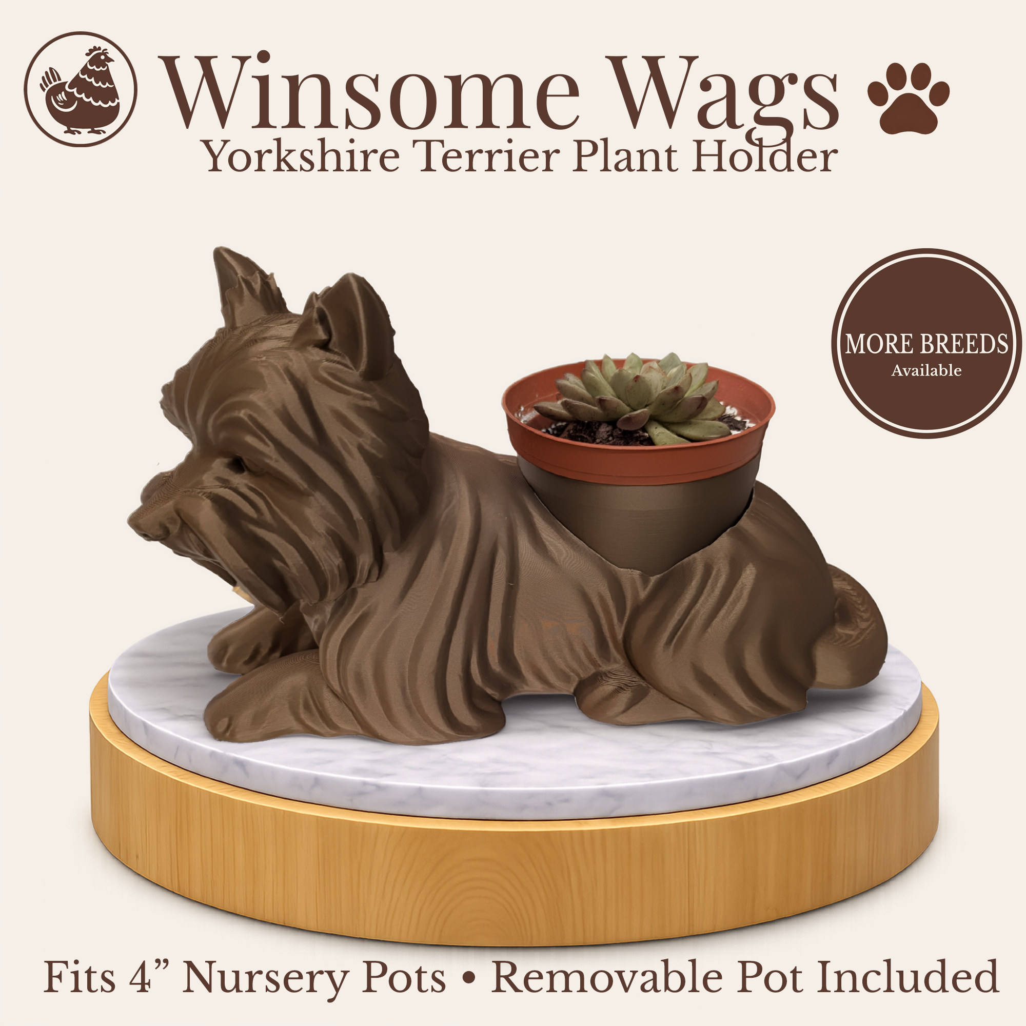 Presentation New Layout.png