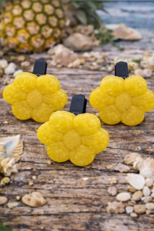 Pineapple Under The Sea Car Air Freshener