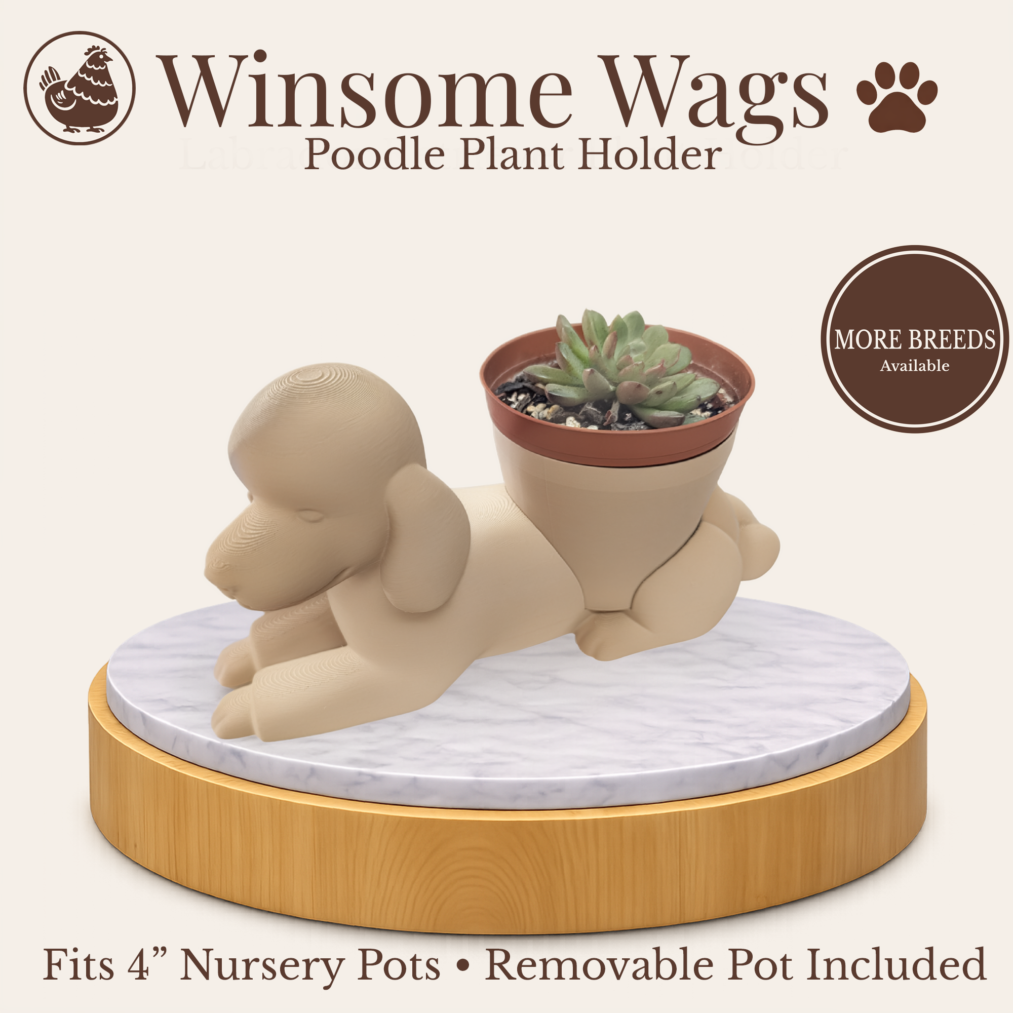 Presentation New Layout.png