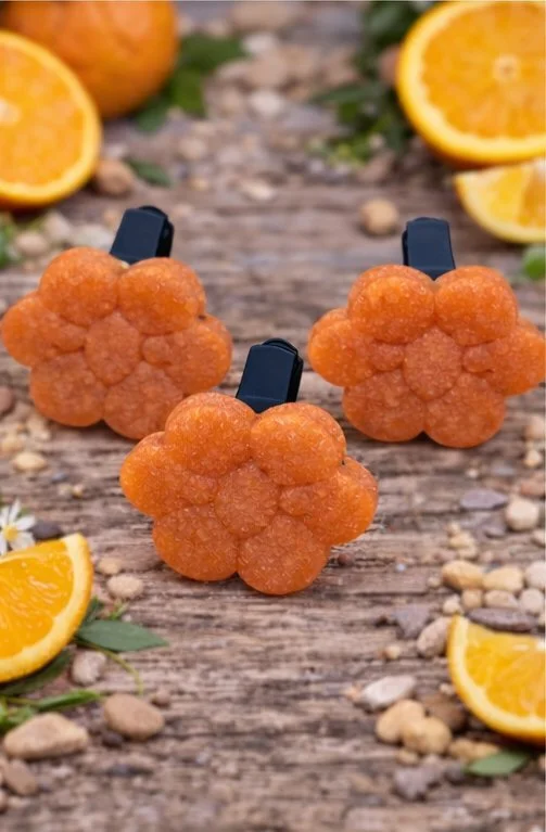 Tangerine Zest Car Air Freshener