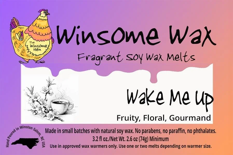 Wake Me Up_1765686908673.jpeg