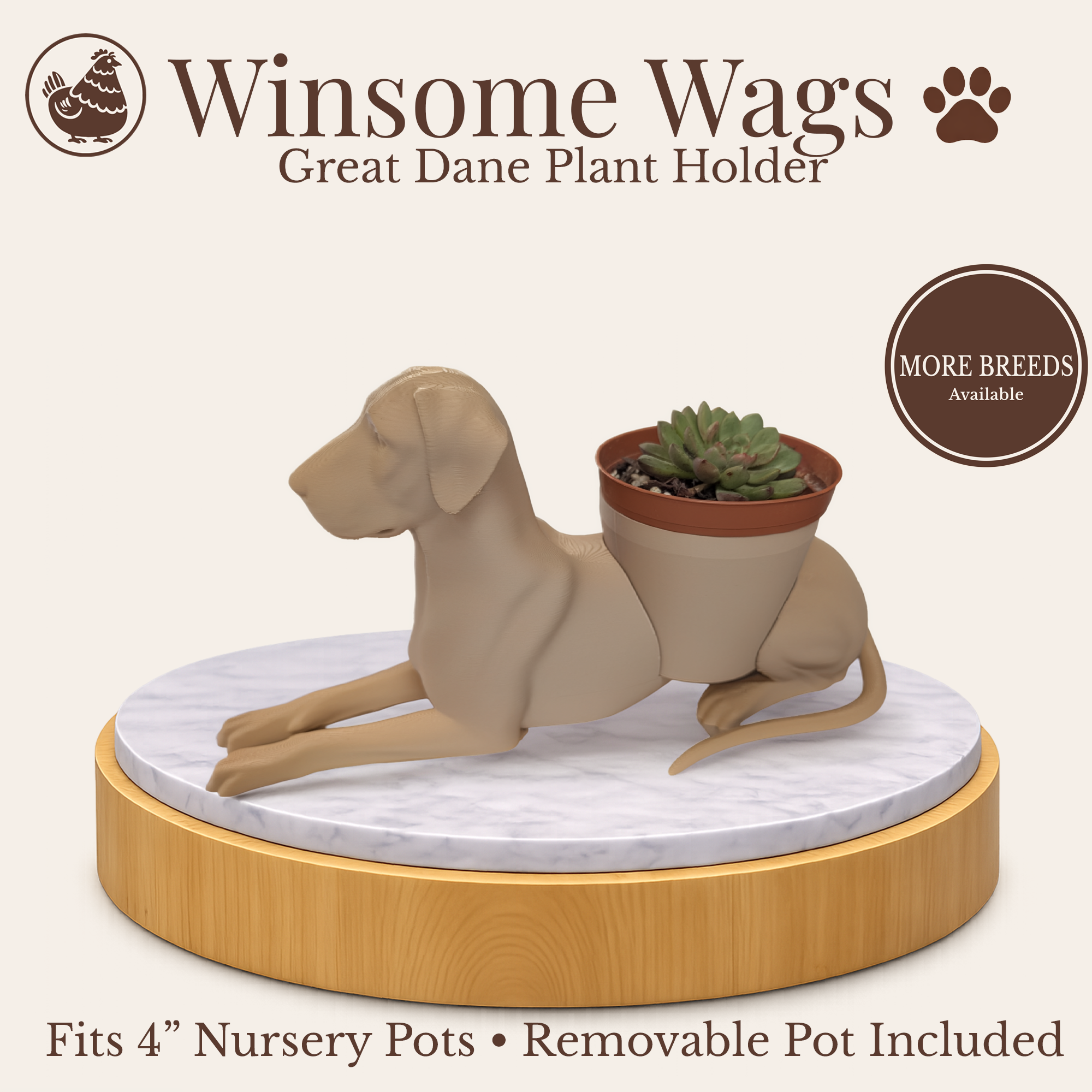 Presentation New Layout.png