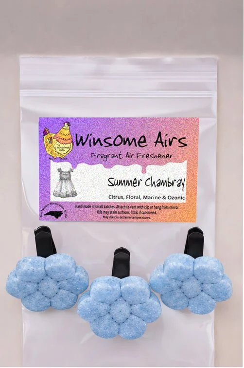 Summer Chambray Above.jpg