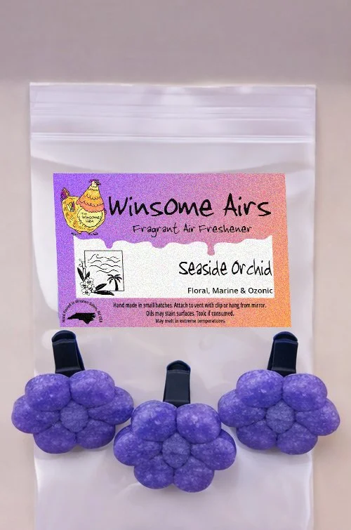 Seaside Orchid Above.jpg