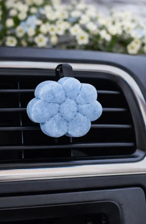 Summer Chambray Vent.jpg