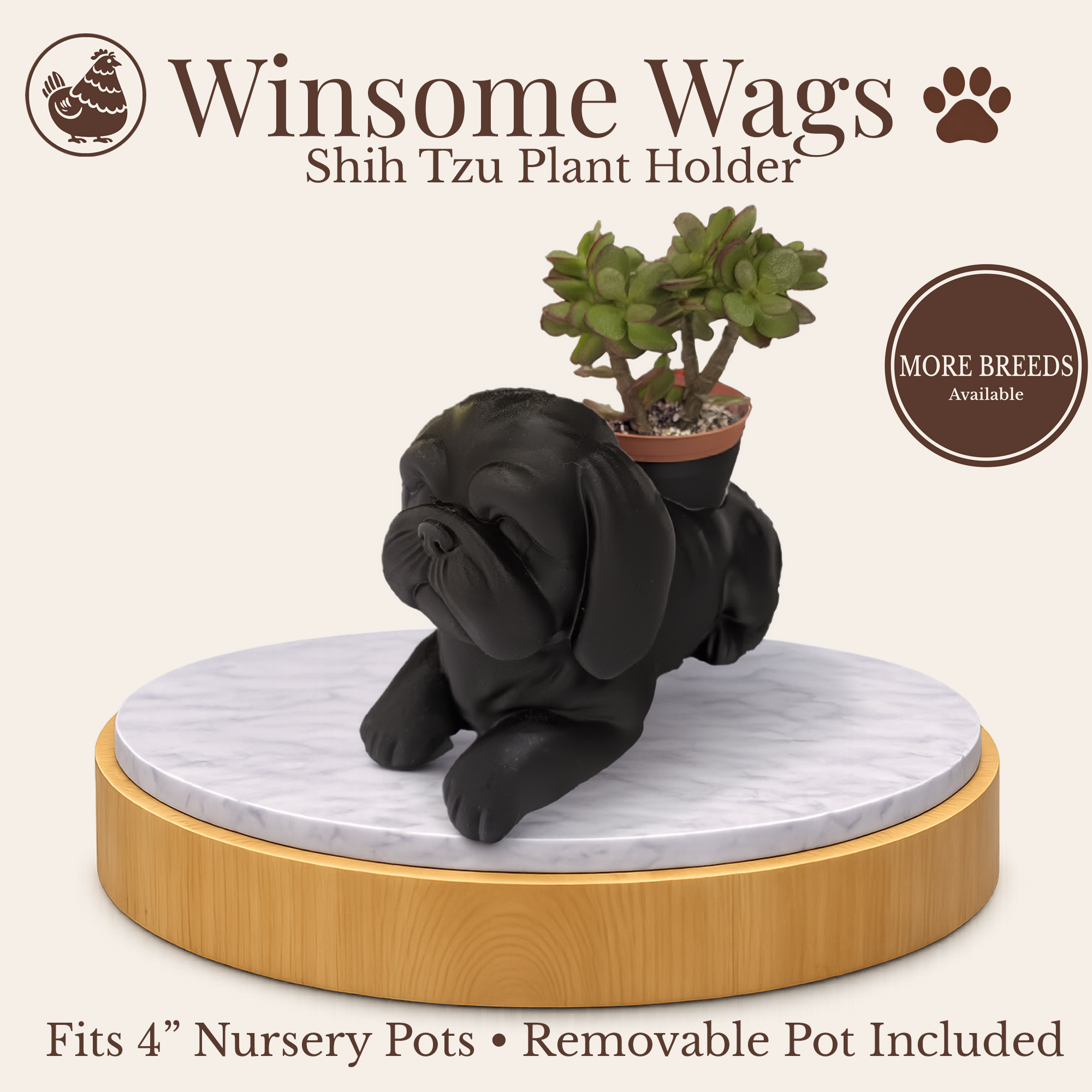 Presentation New Layout.png