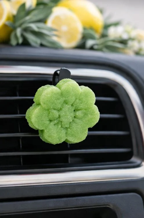 Lemon Agave Vent.jpg