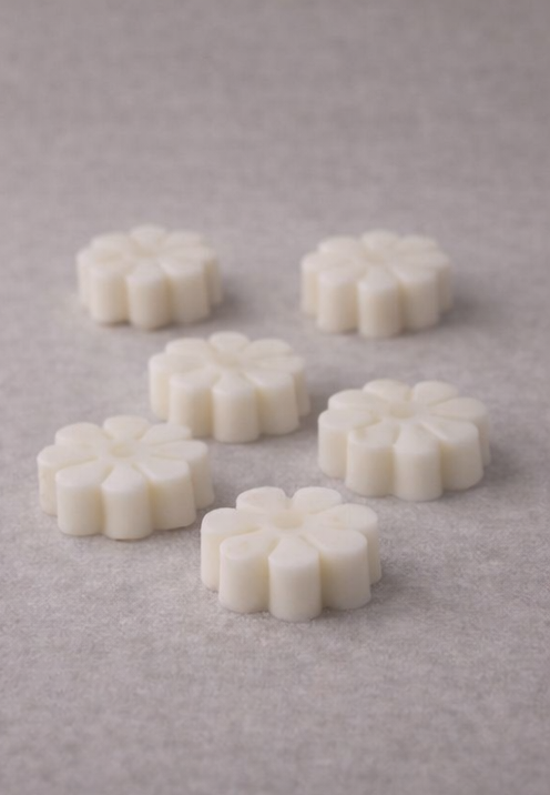 Sun On The Line_TR.png