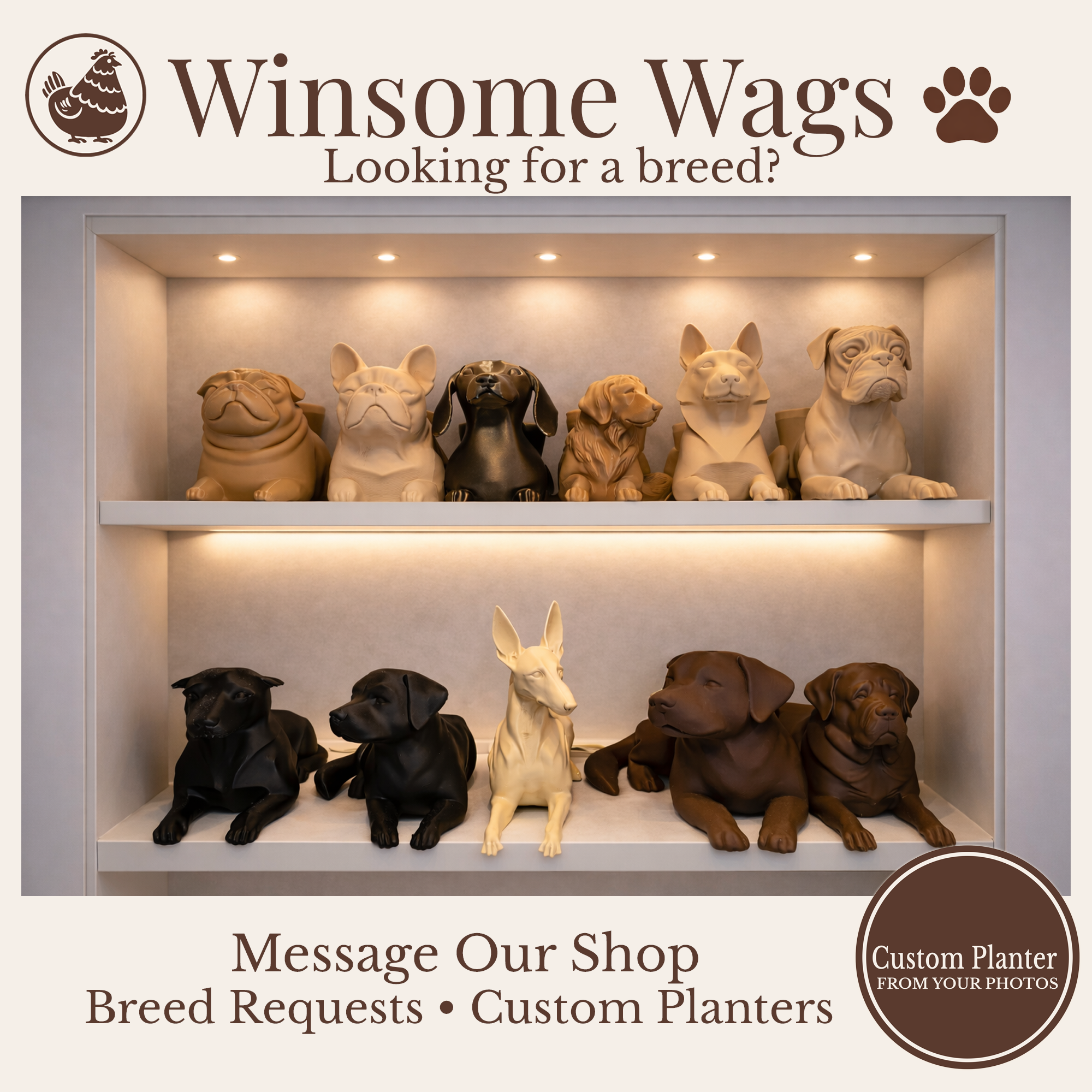 Custom.png (Copy) (Copy) (Copy)