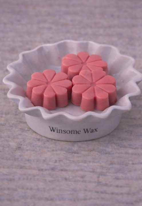 Sunlit Paloma_BL.png