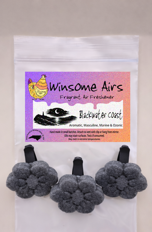 Blackwater Coast Above.png