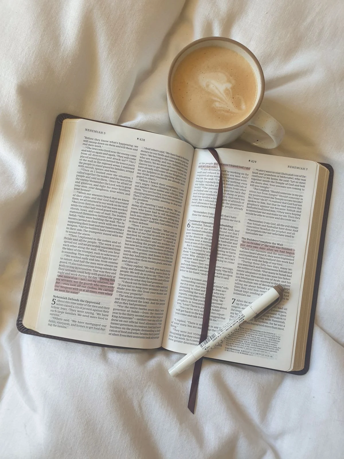 · ✦ · Dear Sister · ✦ ·